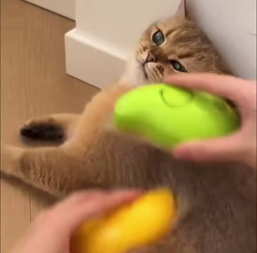 El cepillo vaporizador que transforma el aseo de tu gato en un momento de placer y brillo